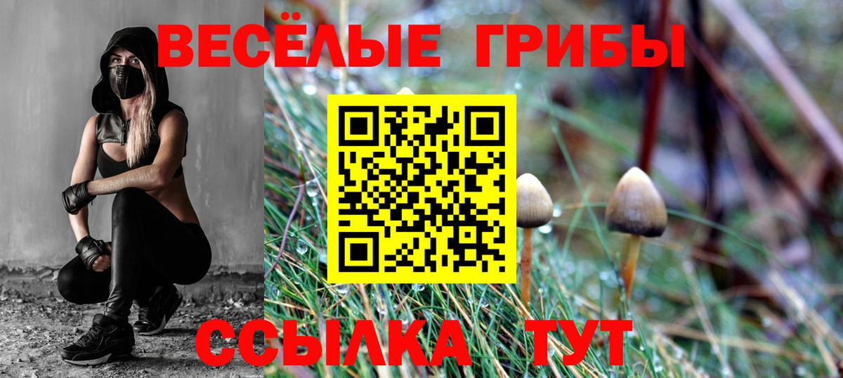 Псилоцибиновые грибы Cubensis  Псилоцибиновые грибы ЛСД  Кимры  Вход с VPN 